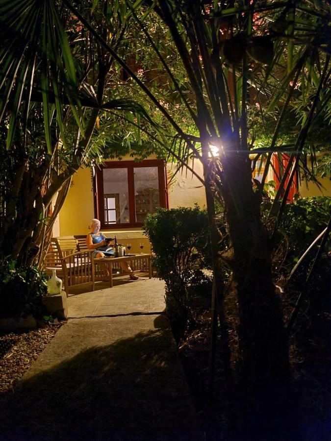 Number15 Guesthouse Carcassonne Exteriér fotografie
